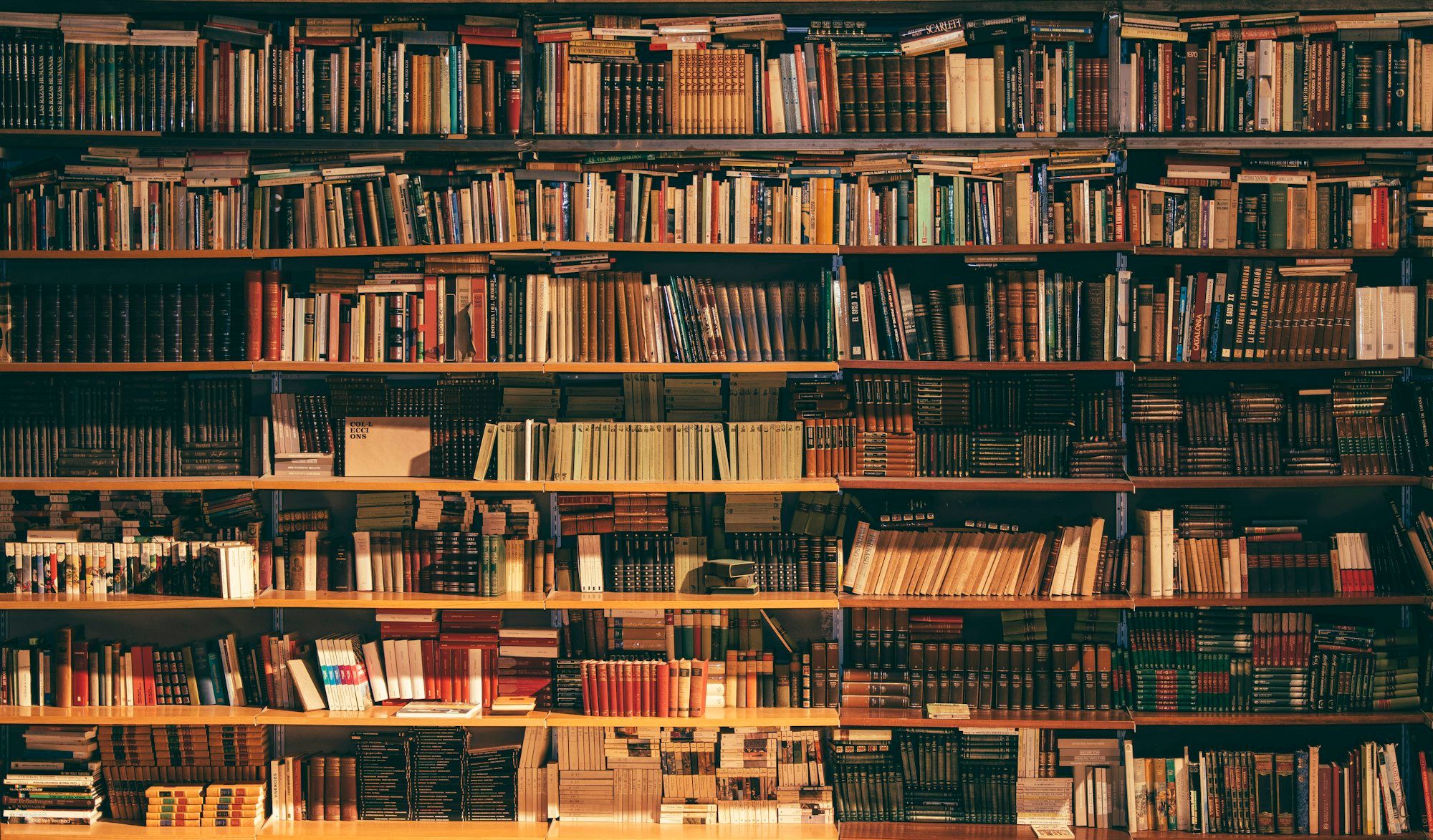 A quiet library — the spirit of careful writing.