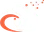 Webnestify logo